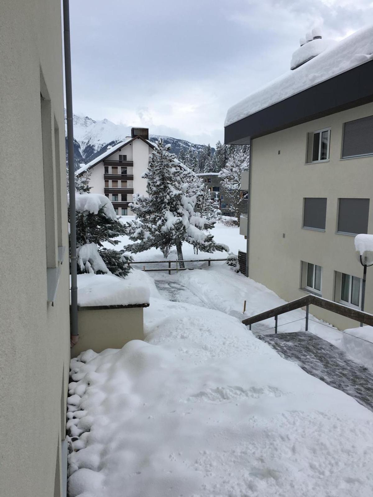 In-ski Out