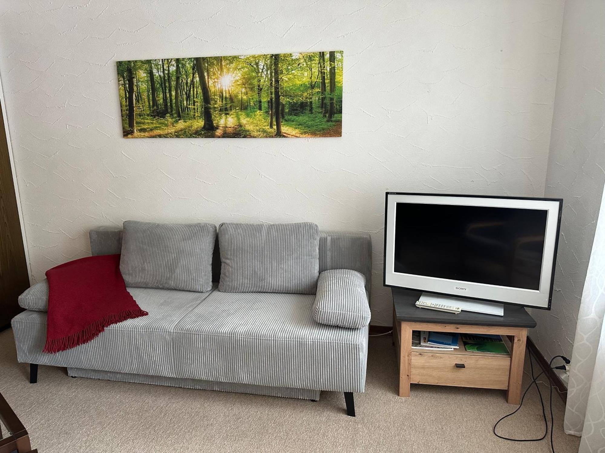 Apartment In-ski Out *